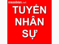 Cần tuyển gấp 02 NV nhân sự cho công ty không yêu cầu kinh nghiệm Cần tuyển gấp 02 NV nhân sự cho công ty không yêu cầu kinh nghiệm