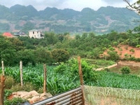 Chính chủ cần bán mảnh đất 2108m2 bản áng,ful thổ cư,giá khuyến mãi Chính chủ cần bán mảnh đất 2108m2 bản áng,ful thổ cư,giá khuyến mãi