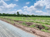 Bán gấp lô đất 5500m2, đối diện nhà máy, SHR, pháp lý đầy đủ,giá 470TR Bán gấp lô đất 5500m2, đối diện nhà máy, SHR, pháp lý đầy đủ,giá 470TR