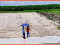 6 lô đất mặt tiền hơn 12m diện tích lớn có sổ hồng tỉnh Bà Rịa 6 lô đất mặt tiền hơn 12m diện tích lớn có sổ hồng tỉnh Bà Rịa
