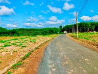 Chị em cần ra gâp lô đất 300m2 Bình Phước Chị em cần ra gâp lô đất 300m2 Bình Phước