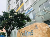 Cho thuê căn hộ 3 phòng ngủ chung cư Carillon 5 giá 10 triệu Cho thuê căn hộ 3 phòng ngủ chung cư Carillon 5 giá 10 triệu