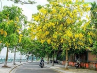CẦN BÁN GẤP Biệt thự cách Hồ Tây 75m. CẦN BÁN GẤP Biệt thự cách Hồ Tây 75m.