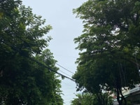 Bán nhà mặt tièn đường Lý Triện , kinhdoanh sầm uất Bán nhà mặt tièn đường Lý Triện , kinhdoanh sầm uất