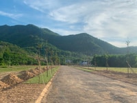 Bân lô biệt thự nhà vườn, ngay trung tâm Tx Phú Mỹ. tiện ích bán kính Bân lô biệt thự nhà vườn, ngay trung tâm Tx Phú Mỹ. tiện ích bán kính