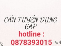 Tuyển gấp 02 nam/ nữ trung niên phụ bán hàng tại cửa hàng Tuyển gấp 02 nam/ nữ trung niên phụ bán hàng tại cửa hàng
