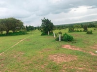 10.000m2 đất xã Hòa Thắng,chỉ 1.3 tỷ, đường trên sổ, bao công chứng 10.000m2 đất xã Hòa Thắng,chỉ 1.3 tỷ, đường trên sổ, bao công chứng