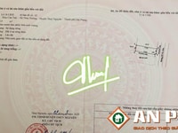 Chuyển nhượng lô góc vườn hoa tại Cửa Trại - Thủy Nguyên - Hải Phòng Chuyển nhượng lô góc vườn hoa tại Cửa Trại - Thủy Nguyên - Hải Phòng