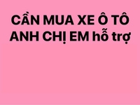 Hoàng Phát cần mua Đủ loại Xe ,Giá cao hơn Thị trường…gấp gấp Hoàng Phát cần mua Đủ loại Xe ,Giá cao hơn Thị trường…gấp gấp