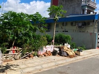 Hàng ĐỘC NHẤT VÔ NHỊ đất mặt đường Hoa Khê, ngay ngã 6 Quán Trữ Hàng ĐỘC NHẤT VÔ NHỊ đất mặt đường Hoa Khê, ngay ngã 6 Quán Trữ