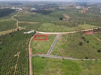 Bán lô đất xã Dambri 200m thổ cư Bán lô đất xã Dambri 200m thổ cư