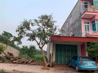 Bán đất mặt tiền ở Xã Thanh Đình, Thành Phố Việt Trì Bán đất mặt tiền ở Xã Thanh Đình, Thành Phố Việt Trì