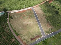Bán gấp lô đất vị trí đẹp tại Lâm Đồng Bán gấp lô đất vị trí đẹp tại Lâm Đồng