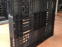Pallet nhựa lót sàn được sử dụng nhiều nhất hiện nay Pallet nhựa lót sàn được sử dụng nhiều nhất hiện nay