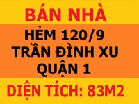 Bán nhà đường Trần Đình Xu, Phường Nguyễn Cư Trinh, Quận 1