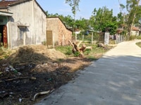 Lô đất thổ cư 2 mặt tiền, đối diện phố chợ Trường Xuân, giá đầu tư Lô đất thổ cư 2 mặt tiền, đối diện phố chợ Trường Xuân, giá đầu tư