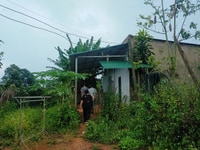 53000m2 mặt đường nhựa vườn cà phê đang thu giá rẻ 53000m2 mặt đường nhựa vườn cà phê đang thu giá rẻ