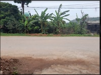 Bánh nhanh mảnh đất cực hót tại mường sang mộc châu Bánh nhanh mảnh đất cực hót tại mường sang mộc châu