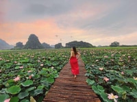 Đầm Sen Cực Đẹp Ở Ninh Bình thật đẹp Đầm Sen Cực Đẹp Ở Ninh Bình thật đẹp