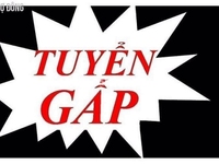 Siêu thị cần tuyển gấp 03 NV kế toán thu ngân làm việc giờ hành chính Siêu thị cần tuyển gấp 03 NV kế toán thu ngân làm việc giờ hành chính