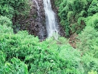Bán gấp lô đất 3ha 4 tỷ view thác, đường nhựa vào tận nơi, Bán gấp lô đất 3ha 4 tỷ view thác, đường nhựa vào tận nơi,
