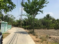 Mặt Tiền Đường Liên Ấp 2-3.Đất Thổ Cư 173m2 Đường OTO 6m Hiệp Phước Bè Mặt Tiền Đường Liên Ấp 2-3.Đất Thổ Cư 173m2 Đường OTO 6m Hiệp Phước Bè