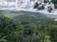 View hồ Lộc Tân Bảo Lộc 1833m2 giá 1ty5 View hồ Lộc Tân Bảo Lộc 1833m2 giá 1ty5
