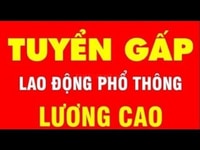 Của hàng cần tuyển nhân viên lao động phổ thông Của hàng cần tuyển nhân viên lao động phổ thông