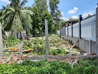 Bán đất : Thanh Phước, Gò Dầu, Tây Ninh Bán đất : Thanh Phước, Gò Dầu, Tây Ninh