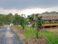 Đất fram, nông nghiệp kho bãi, trang trại Đất fram, nông nghiệp kho bãi, trang trại