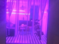 Tuyển gấp 4 nhân viên tẩm quất TG tại số 212 ngã 3 Yên Xá, đường 70