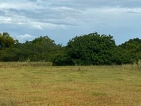 Nền 10,000m2 ở xã hòa thắng có đường trên sổ, cách dt716 600m Nền 10,000m2 ở xã hòa thắng có đường trên sổ, cách dt716 600m