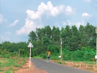 Đất Bình Phước chính chủ giá rẻ Đất Bình Phước chính chủ giá rẻ