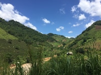 Mảnh đất 1ha Mường Sang Mộc Châu view siêu đẹp Mảnh đất 1ha Mường Sang Mộc Châu view siêu đẹp