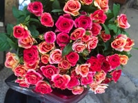 Nhận kê khai thuế hoàn thiện sổ sách Nhận kê khai thuế hoàn thiện sổ sách