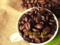 Cung cấp cà phê hạt nguyên chất giá sỉ ổn định Tại Cà Mau Cung cấp cà phê hạt nguyên chất giá sỉ ổn định Tại Cà Mau