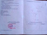 Tân Hưng Đồng Phú 43x54 mặt tiền 32m giá 1,5 ty Tân Hưng Đồng Phú 43x54 mặt tiền 32m giá 1,5 ty