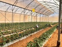 Góc chuyển nhượng, 16943m2, 2.5 tỷ, SĐR, bao tất phí!! Góc chuyển nhượng, 16943m2, 2.5 tỷ, SĐR, bao tất phí!!