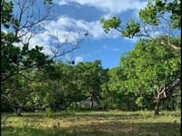 Đất ngay trung tâm hành chính Lộc Ninh, Bình Phước. Đất ngay trung tâm hành chính Lộc Ninh, Bình Phước.