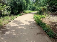 Bán 5000m2 đất giá rẻ nhất khu vực Bán 5000m2 đất giá rẻ nhất khu vực