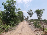 Đất vườn đường Kênh 3 Vĩnh Lộc A 1000m2 Đất vườn đường Kênh 3 Vĩnh Lộc A 1000m2