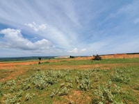 Lô đất xã Bình Tân dt: 4144m2. cách đường liên huyện 50m.SHR Lô đất xã Bình Tân dt: 4144m2. cách đường liên huyện 50m.SHR