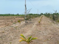 Bán gấp lô đất 500m2 Cạnh Hồ Lộc An Bán gấp lô đất 500m2 Cạnh Hồ Lộc An