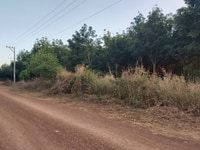 Bán Đất Bình Phước 1000m2 Giá Chưa Đến Nữa Tỷ (Giá Tốt Nhất Năm 2021) Bán Đất Bình Phước 1000m2 Giá Chưa Đến Nữa Tỷ (Giá Tốt Nhất Năm 2021)