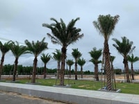 Giỏ hàng đất biển Quy Nhơn phân khu 4. Hàng ngộp ngân hàng Giỏ hàng đất biển Quy Nhơn phân khu 4. Hàng ngộp ngân hàng