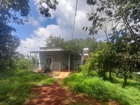 1,5 ha đất trồng cao su có nhà ở giá rẻ chỉ 1.6 tỷ. 1,5 ha đất trồng cao su có nhà ở giá rẻ chỉ 1.6 tỷ.