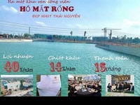 Cơ Hội Sinh lời cho nhà đầu tư Cơ Hội Sinh lời cho nhà đầu tư