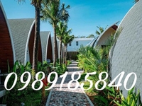 Tấm lợp phủ đá nhựa đường nhập khẩu cao cấp Tấm lợp phủ đá nhựa đường nhập khẩu cao cấp
