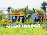 Tấm lợp Bitum chuyên sử dụng cho bungalow, nhà di động.... Tấm lợp Bitum chuyên sử dụng cho bungalow, nhà di động....