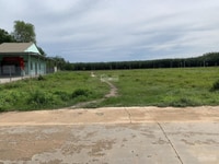Bán 10.000m2 SHR đối diện becamex dân đông giá 168 triệu Bán 10.000m2 SHR đối diện becamex dân đông giá 168 triệu